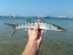 Durban Harbour