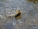 Bushmans River With Nigel