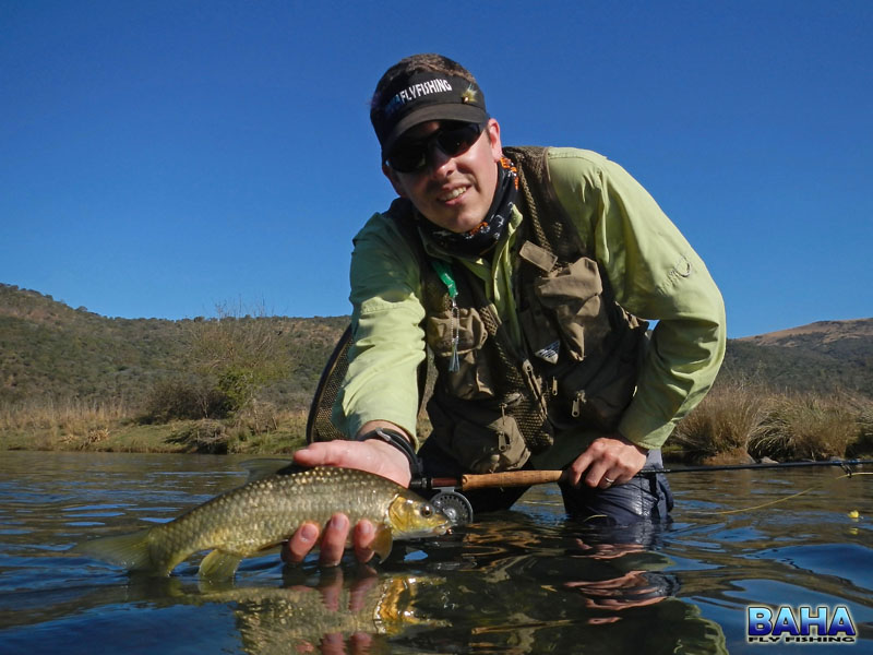 A Wintery Nyala Pans