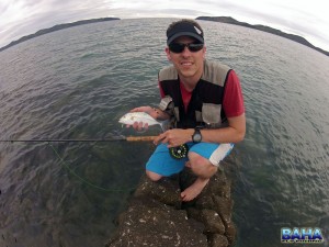 Bluefin kingfish in Madagascar