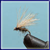 Elk Hair Caddis: Another very successful dry fly. I find it especially useful in the Bushman's River.